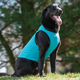 Cooling Vest