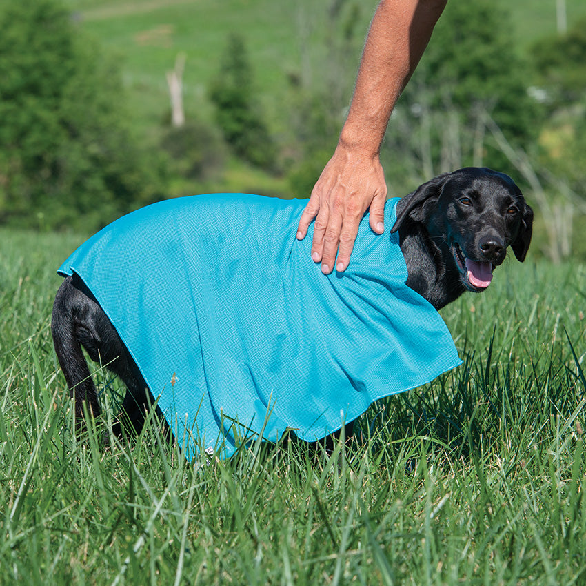 Cooling Towel