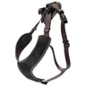 Tracking Harness, Black