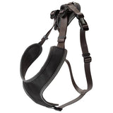 Tracking Harness, Black