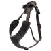 Tracking Harness, Black