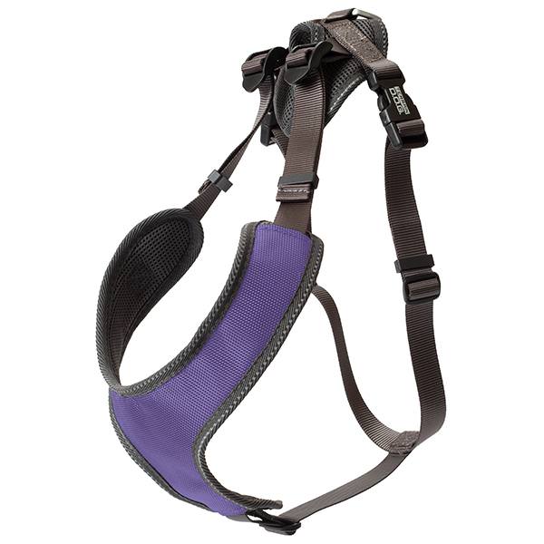 Tracking Harness, Purple