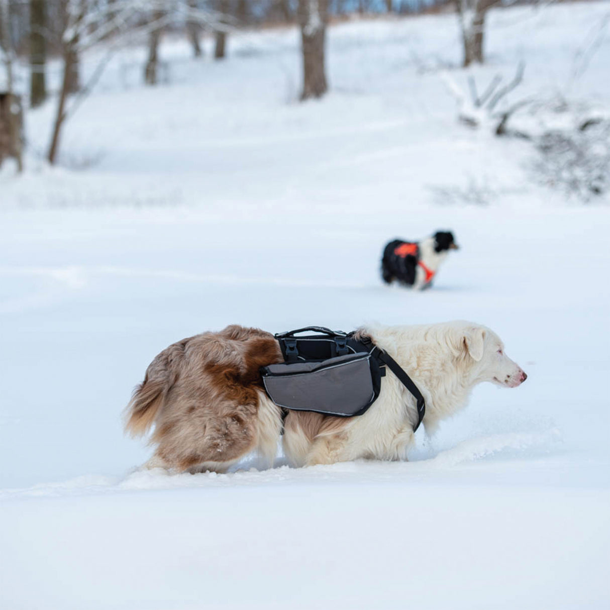Adventure Pack