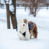 Adventure Pack