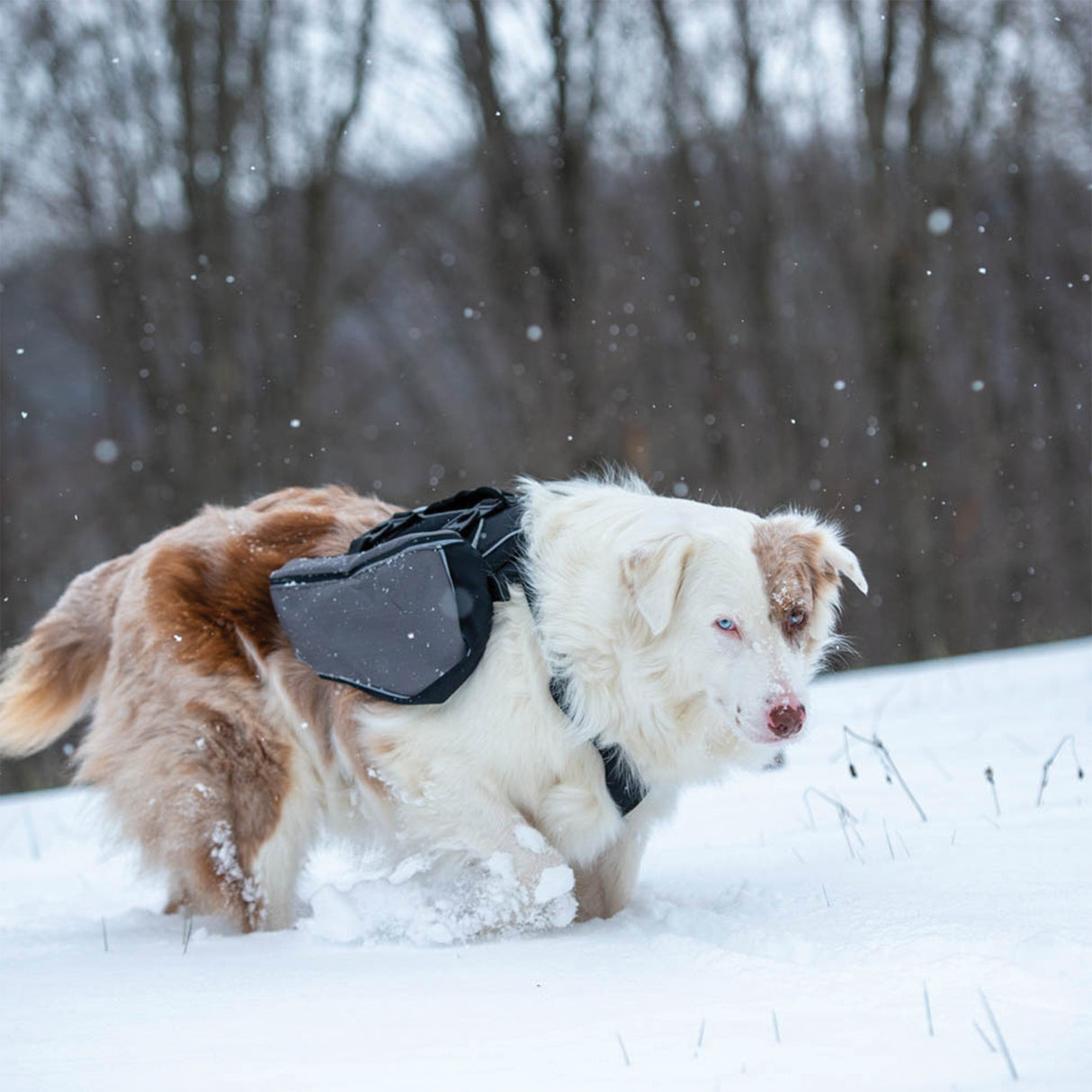 Adventure Pack