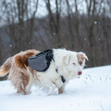 Adventure Pack