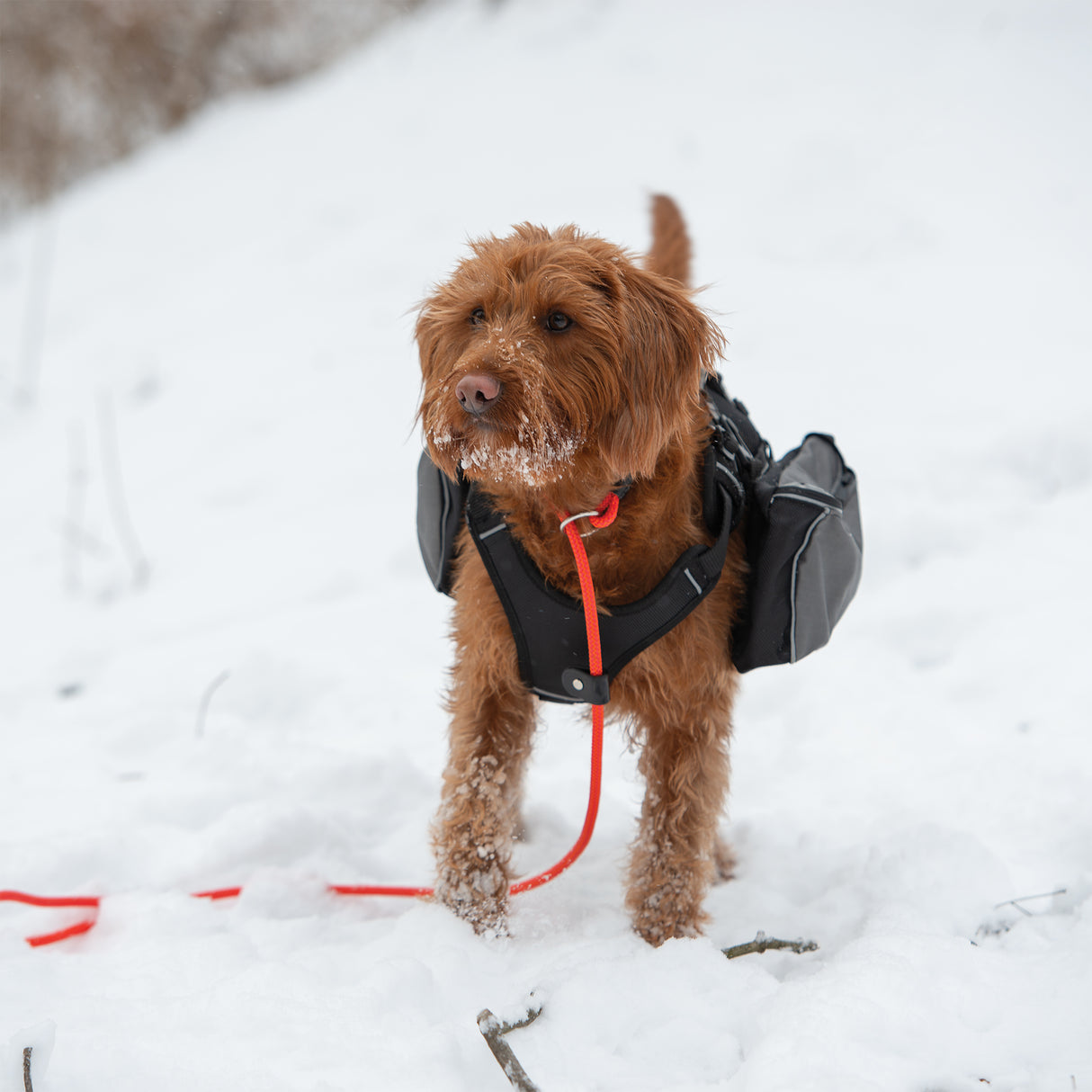 Adventure Pack