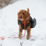 Adventure Pack