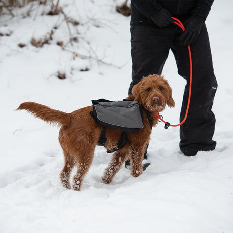 Adventure Pack
