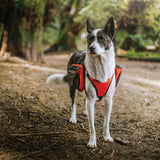 Adventure Pack