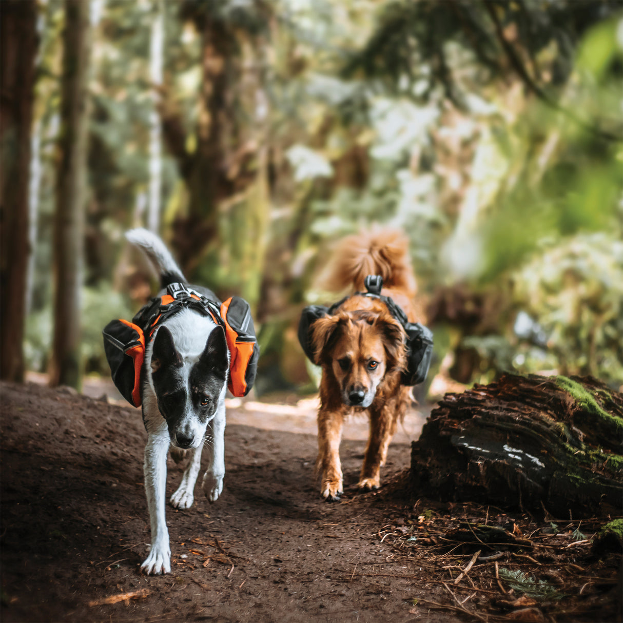 Adventure Pack