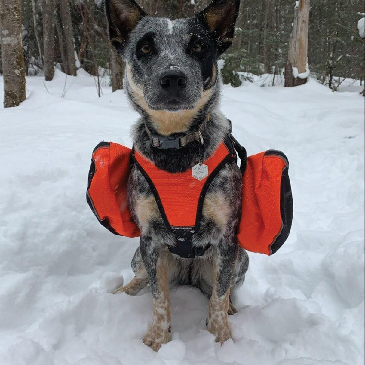 Adventure Pack