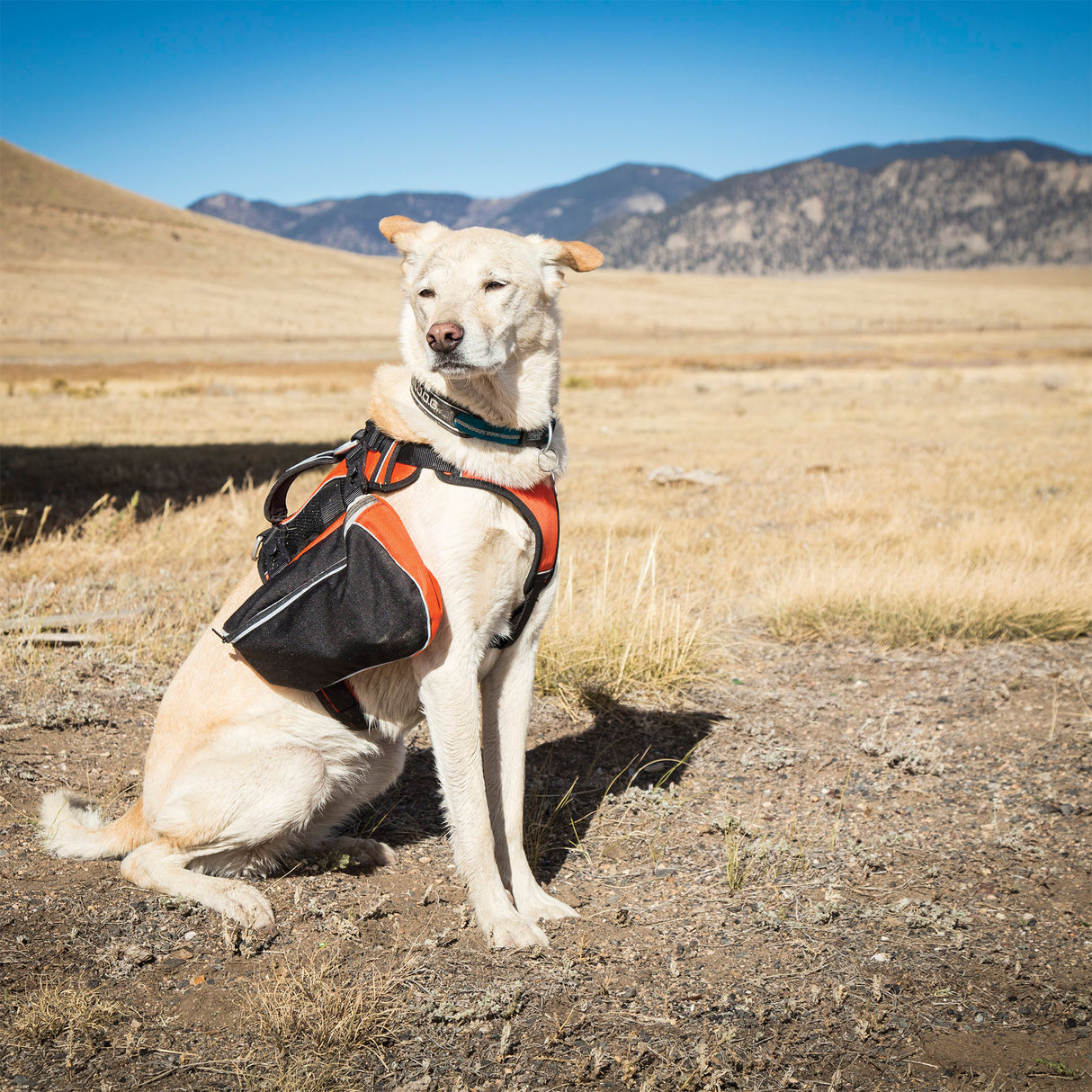 Adventure Pack