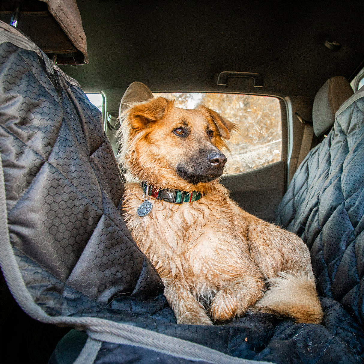 Car Seat Cover