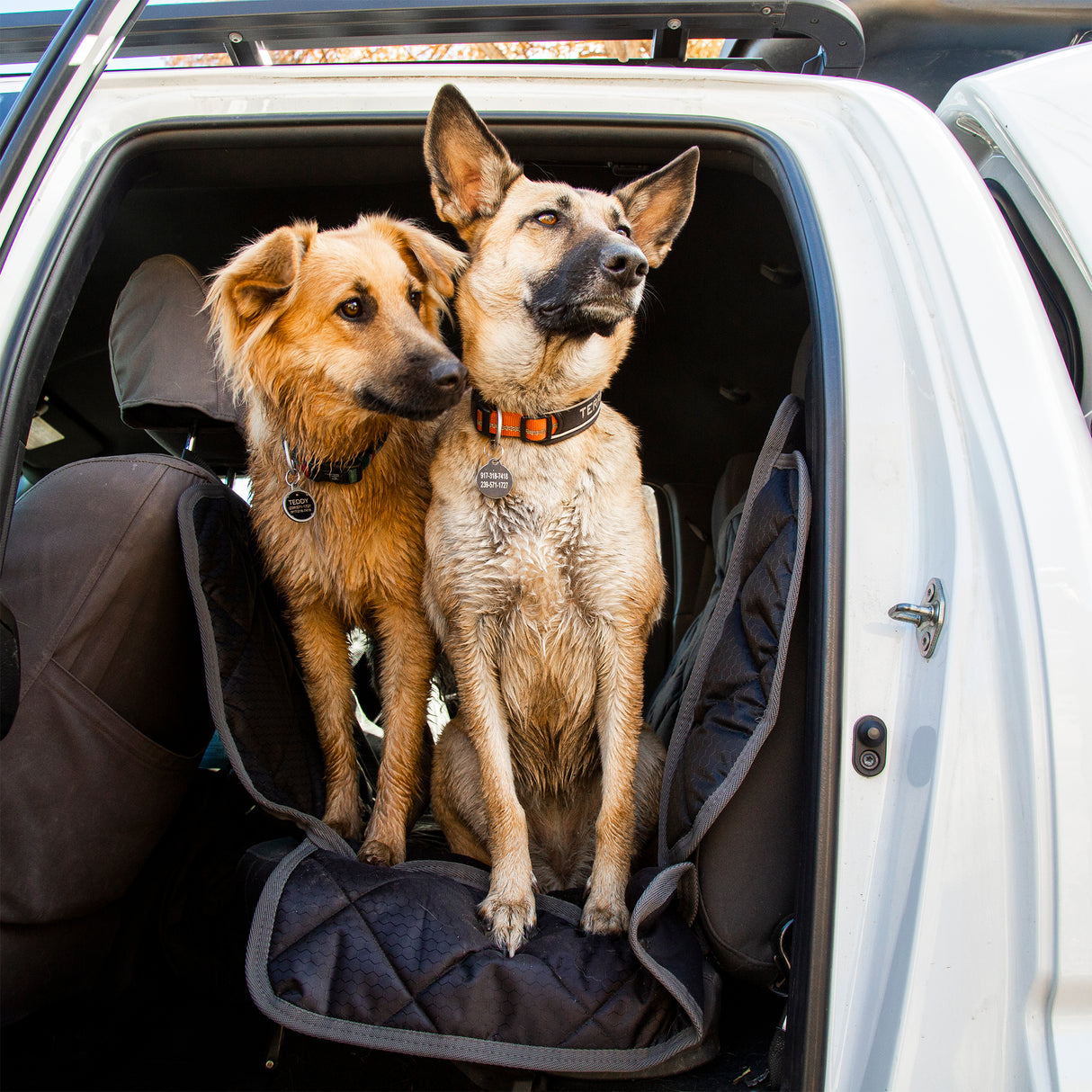 Car Seat Cover