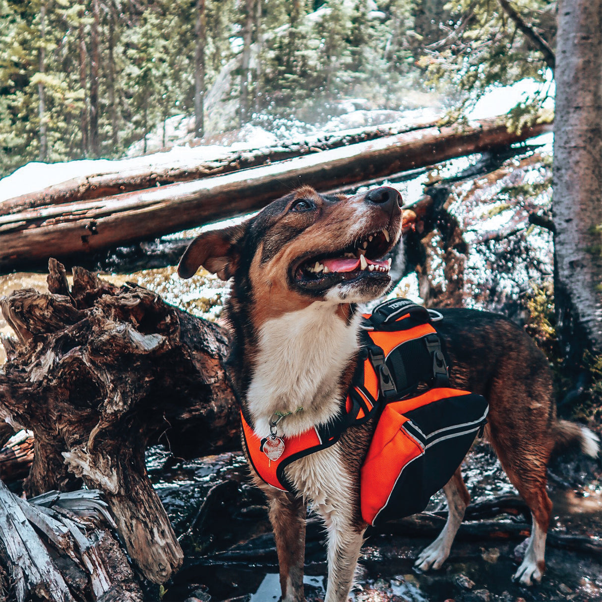 Adventure Pack