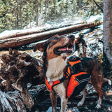 Adventure Pack