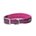 Reflective Neoprene Lined Collar