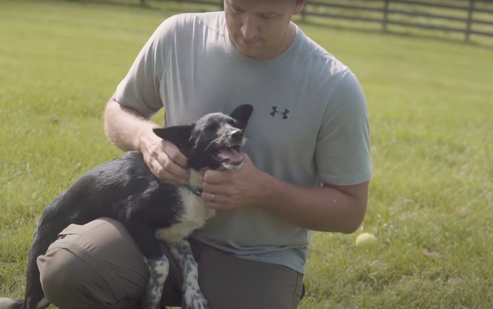 Dog Playing with a person