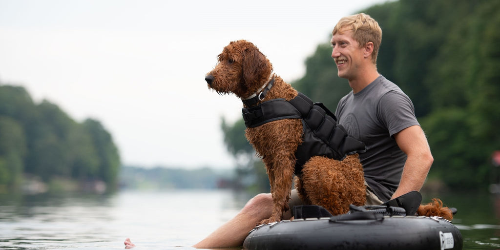 Terrain D.O.G. Let the Adventure Begin Terrain Dog