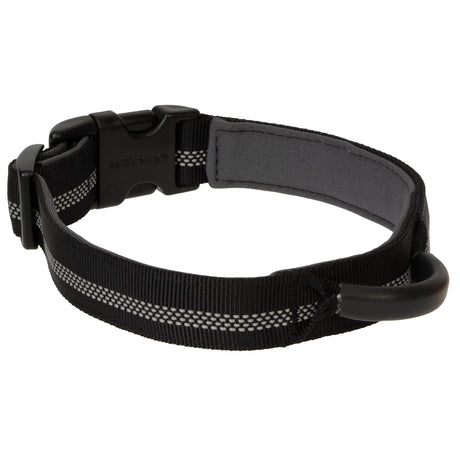 Venture Padded Dog Collar