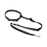 Hands-Free Leash