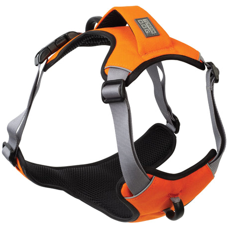 Venture Harness