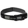 Venture Padded Dog Collar