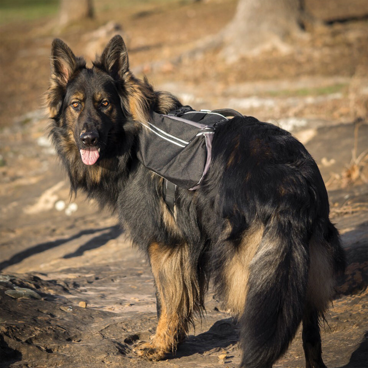Adventure Pack