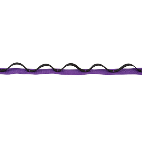 Venture Dual Snap Leash