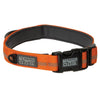 Venture Padded Dog Collar