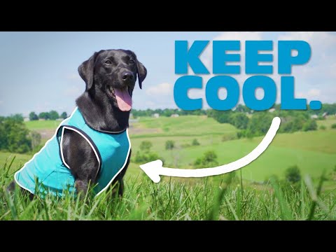 Cooling Vest