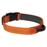 Venture Padded Dog Collar