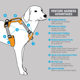 Venture Harness