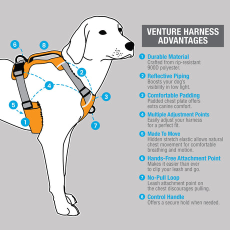 Venture Harness