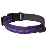 Venture Padded Dog Collar