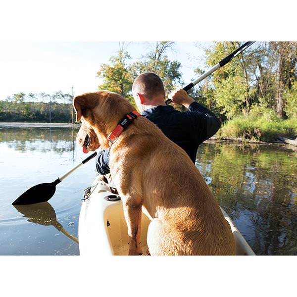 Terrain D.O.G Reflective Snap-n-Go Collar, Medium