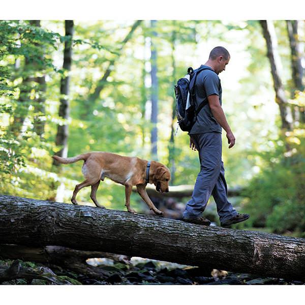 Terrain D.O.G Reflective Snap-n-Go Collar, Large