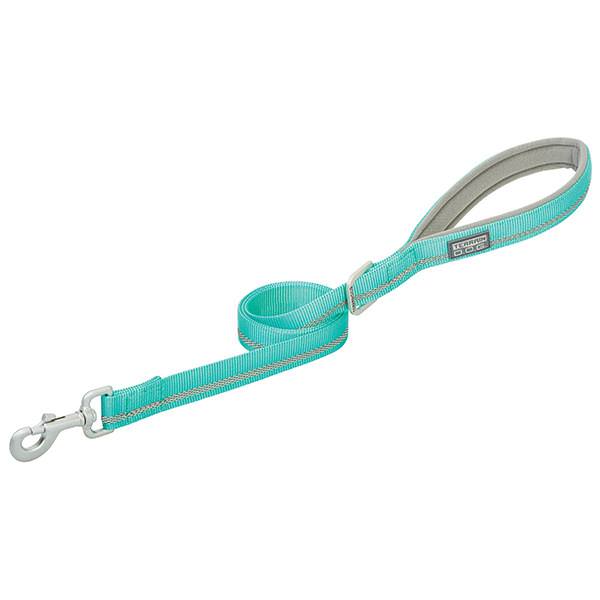 Terrain D.O.G Reflective Leash, 1" x 6', Mint