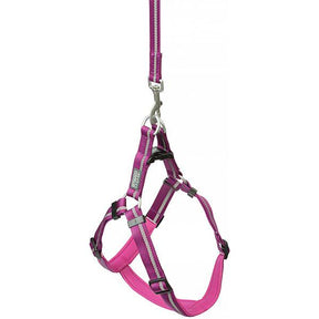Reflective Neoprene Lined Dog Harness, Large, Purple