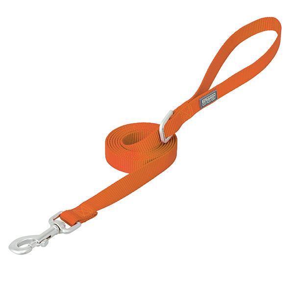 Nylon Single-Ply Dog Leash, 3/4" x 6', Orange