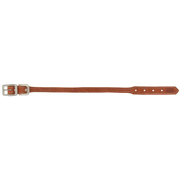 Buttered Harness Leather Hybrid Dog Collar, 3/4" x 13"