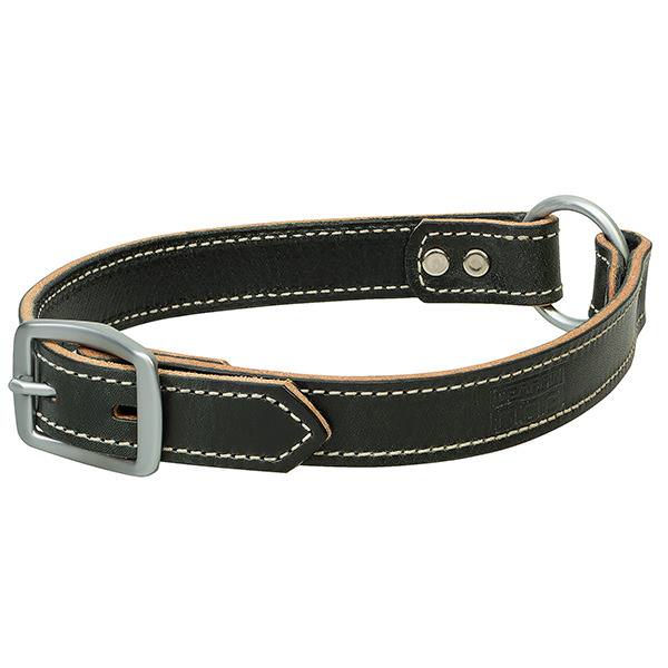 Bridle Leather Ring-In-Center Dog Collar, Black, 1" x 19"