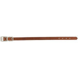 Harness Leather Dog Collar, 3/4" x 13"