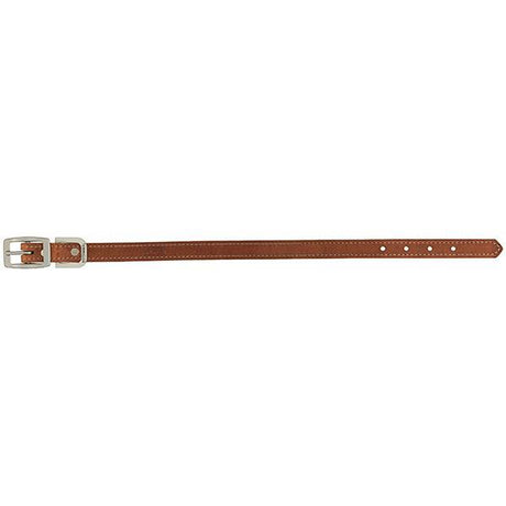 Harness Leather Dog Collar, 3/4" x 13"
