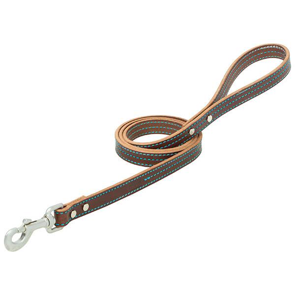 Canvas sales dog leash