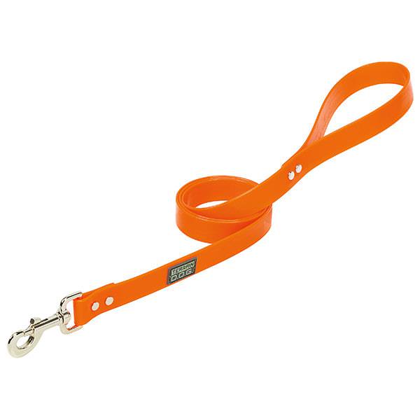 X-Treme Adventure Clear Coat Dog Leash, Blaze Orange, 1" x 4'