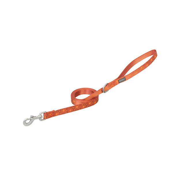 Premium Patterned Leash, ¾" x 4', Orange Compass