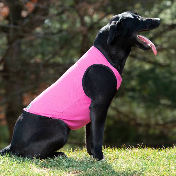 Cooling Vest