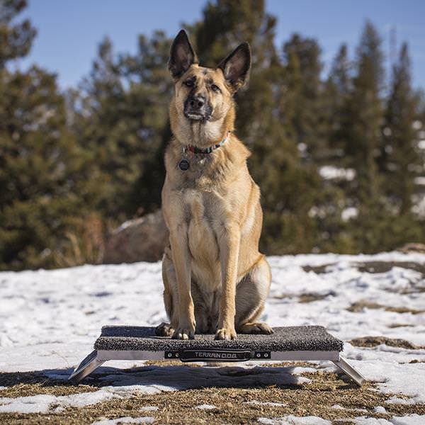 Pet Place Board, 24"